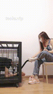 【嫦曦S】圈养第二天强制闻鞋 bf28550