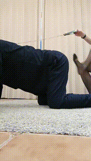 【上海糖糖老师】御姐黑丝骑马遛狗 bf7333