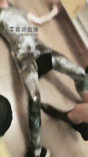 【美帝】长靴狠虐木乃伊狗 bf16710