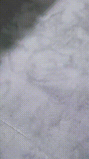 【灵竹】强迫深喉_插吐也要忍着 bf8941