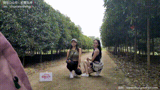 【初夏女神 】NO.058 点点&amp;amp双双 姐妹出行