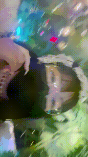 【roli】日式萝莉风-首调奴 bf26803