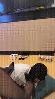 【叶娘】闻舔脏鞋原味袜踢踹【完整版】 bf31065_3