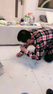 【罗宾】生活化调圈养奴 bf20473