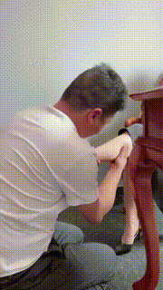 【美帝】偶然发现老板是个狗 bf10729