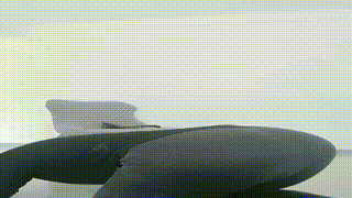 【鱼主】卑微狗脚踩喂食JS250111-24