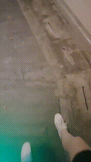 【悠悠大S】双S户外tj遛狗走起【双视角版】 bf24144_1