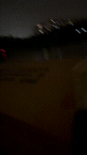 【悠悠大S】双S户外tj遛狗走起【双视角版】 bf24144_2