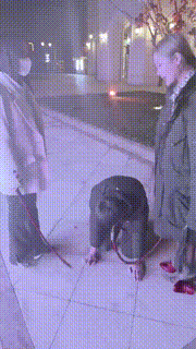 【牙乖乖】双S商业街公开遛狗【双视角版】 bf21100_1