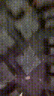 【狗哥】素人女神白袜首调狗【完整版】 bf26379