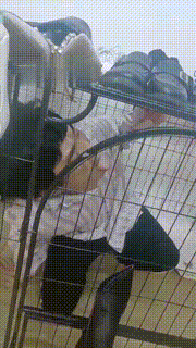 【小猫咪】关在狗笼里的废物狗【双视角】JS22090301_2