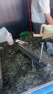 【狗哥】白丝高跟-实战开发台球助教小姐姐 bf30646