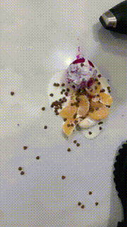 【苏御大大】给狗制作黑暗料理 JS231014