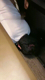 【悠蔻大魔王】烤肉店踩踏+聊天【双视角版】 bf18556_2