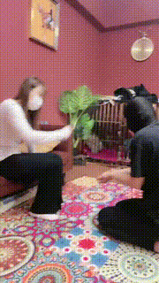 【辣妈】暴力虐打追求主 bf21005