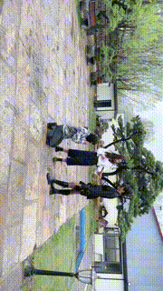 【宸宸】双S户外暴力耳光踢踹贱狗【续集双视角版】 bf26768_1