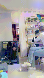 【二宝】真实-美甲店当着技师的面玩狗关狗笼强迫喝洗脚水 bf25638