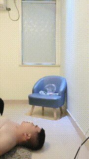 【安静大大】姐妹花全体重踩踏木乃伊狗【双视角版】 bf27118_1