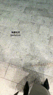 【可主】车内诱导司机舔长靴黑丝美腿JS241112-29