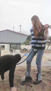 【辰辰】户外强迫狗舔超脏泥土鞋底 bf24624