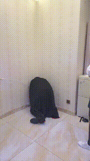 【冷鸢大大】双S鞭打羞辱贱狗 bf20888