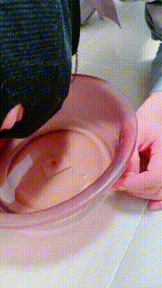 【Rina利娜】深夜失眠抓家奴虐 bf33107