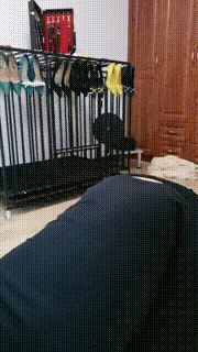 【凌儿女神】白领耳光开发奶狗捆绑鞭打白丝脚深喉 bf27008