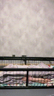 【冷凝大大】超强狗笼圈养强制虐 bf24223