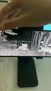 【沅芷大人】直播聊天让你看看监控里的狗JS241027-19