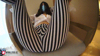 【ROSI视频】2016.05.27 视频NO.140