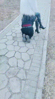 【梦幻大大】长靴S户外遛狗骑马爬行 bf23999