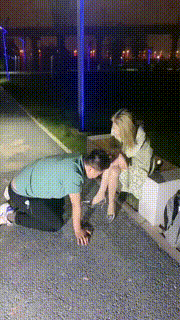 【紫烟】流氓调戏街头小姐姐【双视角版】 bf10993_1