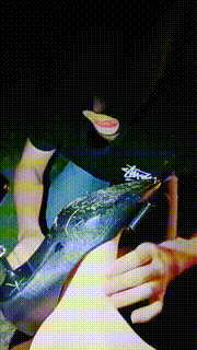 【bibi团】户外遛狗强制舔脏鞋 JS23050301