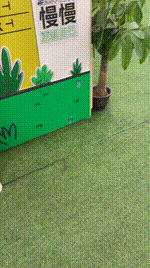 【织梦映像】NO.009 燕婉之求-照水红蕖细细香_7