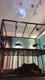 【禾未】暗黑刑房-长腿模特S-狗笼囚禁虐