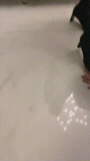 【晴儿】姐妹花玩弄哥俩狗-踢裆_舔靴_骑马 bf22080