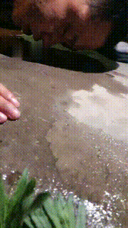 【天津桃桃】户外公厕旁逮住跟踪狗【双视角版】 bf11214_2