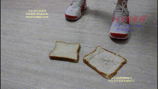 【第一视角】羞辱-贱货踩废你碾碎的狗爪子(面包片)