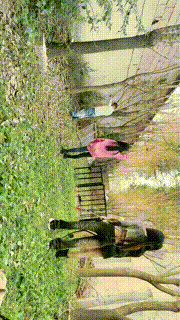 【沅芷大人】高能刑-清晨群调圈养奴-上【三视角版】JS23101520_3